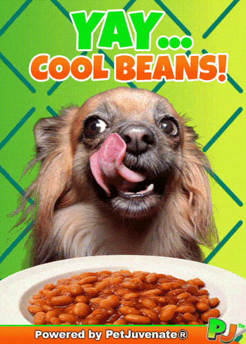 a picture of a dog licking its nose next to a plate of beans that says yay cool beans