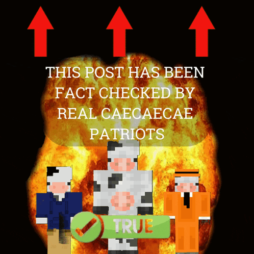 a poster that says this post has been checked by real caecaecae patriots