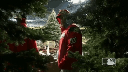 a man wearing a washington nationals jersey stands in front of a christmas tree
