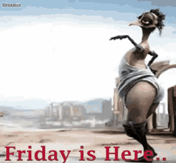 Friday Is Here Dance GIF - Friday Is Here Dance Bird GIFs