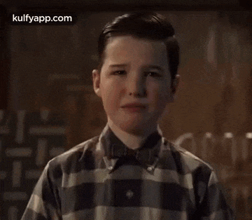 a young boy wearing a plaid shirt and bow tie looks at the camera .