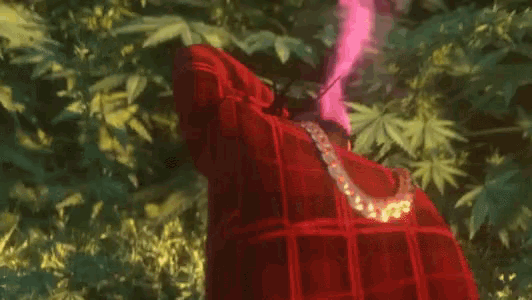a person in a red hooded jacket with the words went to l.a and tried to smoke an acre boy