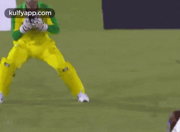 a cricket player is catching a ball on a field in front of a cg insurance sign .