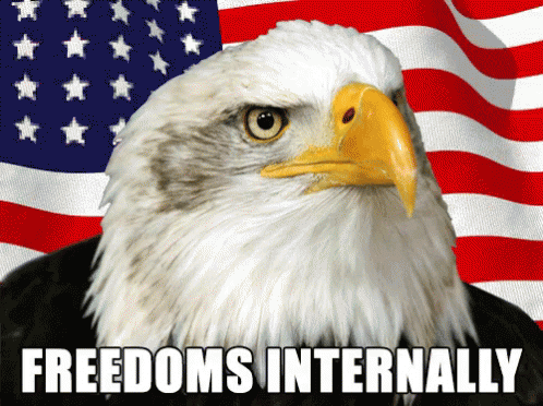 Freedom Eagle GIF - Freedom Eagle GIFs