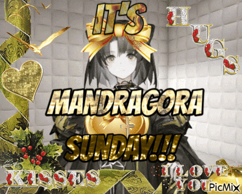 a greeting card that says it 's mandragora sunday kisses