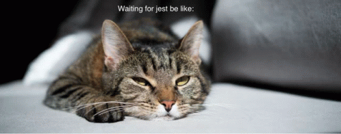 Waiting For Jest GIF - Waiting For Jest GIFs