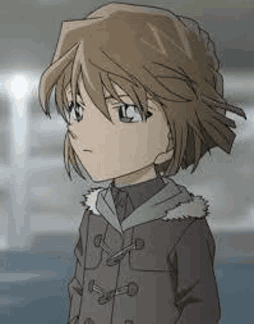 a close up of a person wearing a coat and a hoodie .