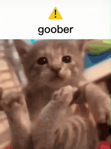 Goober Tank The Cat GIF - Goober Tank The Cat GIFs