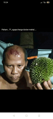Durian GIF - Durian GIFs