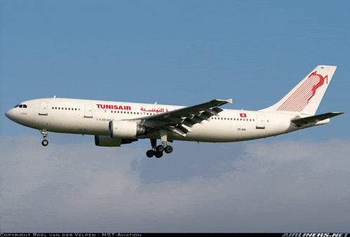 a tunisiair airplane is flying in the blue sky