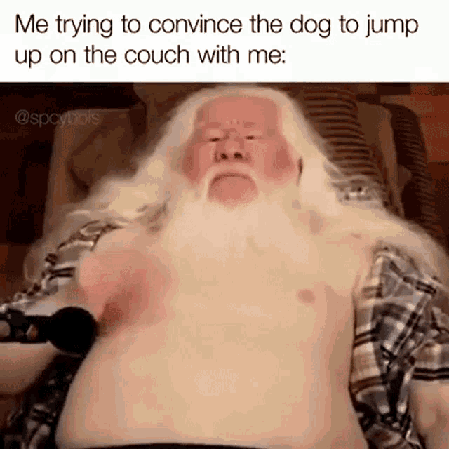 Me Trying To Convince The Dog To Jump Up On The Couch With Me Come Here GIF - Me Trying To Convince The Dog To Jump Up On The Couch With Me Come Here Come Here Boy GIFs
