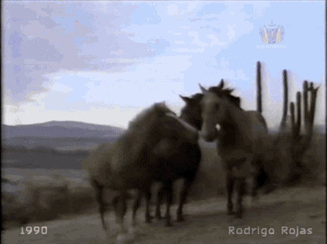 the year 1990 is on the bottom of a picture of horses