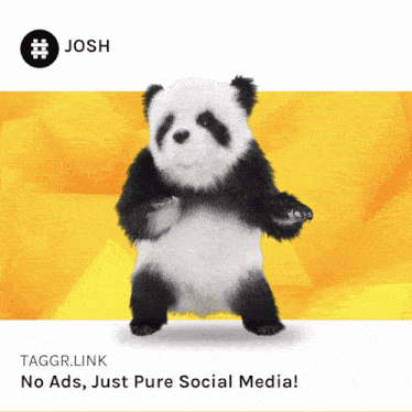 a picture of a panda bear on a yellow background that says tagsr.link no ads just pure social media