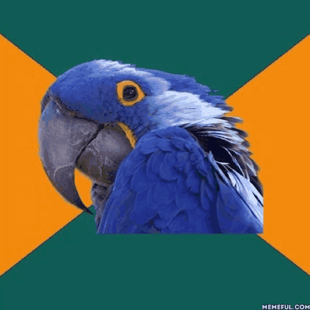 a blue parrot with a yellow eye is sitting on an orange and green background