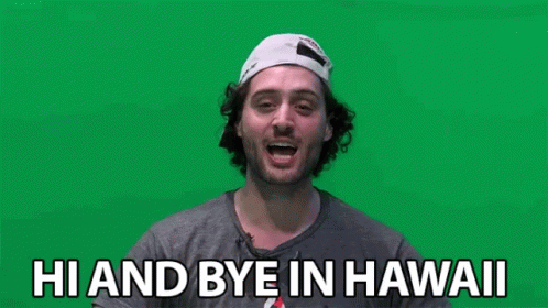 Hi And Bye In Hawaii Hi GIF - Hi And Bye In Hawaii Hi Bye GIFs