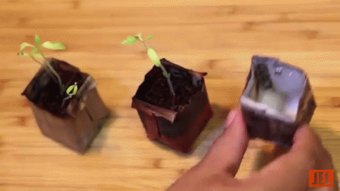 Diy Biodegradable Seed-starter Pots GIF