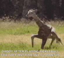 a giraffe is standing on its hind legs in the grass .