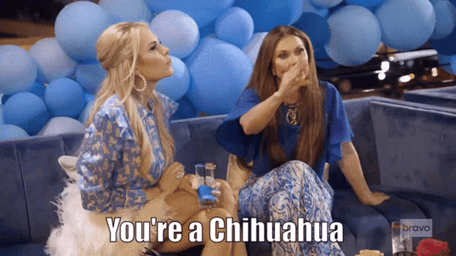 two women sitting on a couch with the words you 're a chihuahua on the bottom