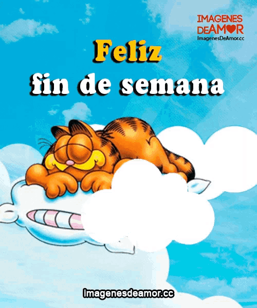 garfield is sleeping on a cloud with the words feliz fin de semana