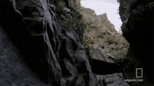 Tall Rock Walls Subterranean Treasure GIF - Tall Rock Walls Subterranean Treasure Primal Survivor GIFs