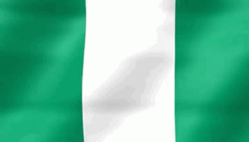 Nigeria Nigerian GIF - Nigeria Nigerian Naija GIFs