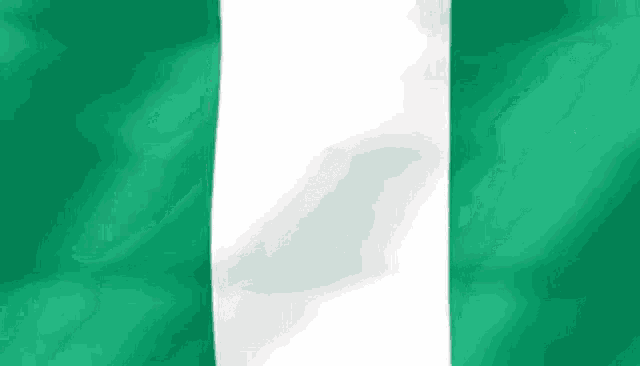 a close up of a green and white flag waving in the wind .