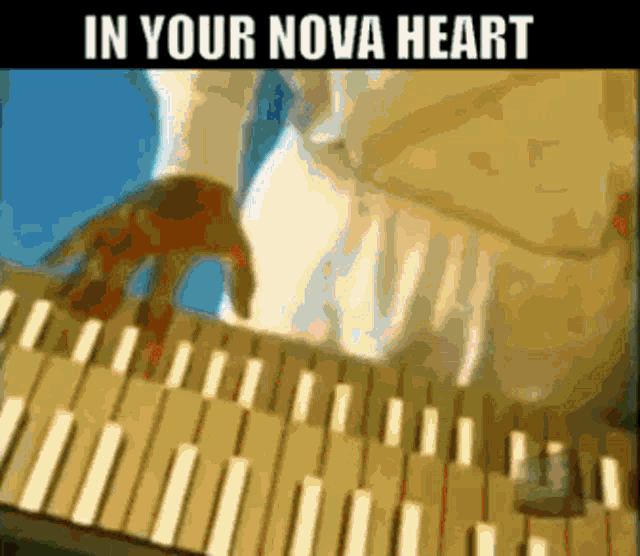 Spoons Nova Heart GIF - Spoons Nova Heart New Wave GIFs