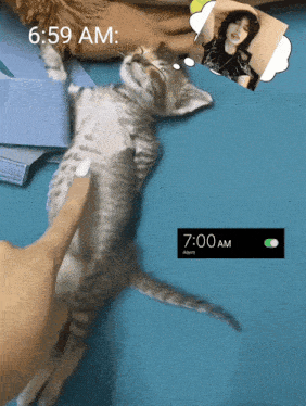 a kitten is laying on a blue surface next to a picture of a woman and the time is 6:59 am