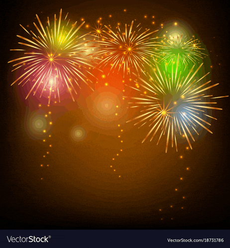 a bunch of colorful fireworks are displayed in the night sky