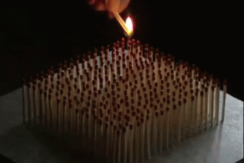 Kill It With Fire. GIF - Matches Burn Fire GIFs