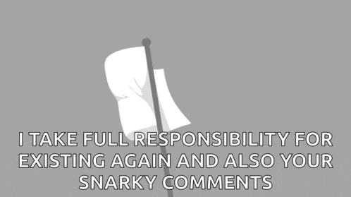 a white flag is flying in the wind with the words `` i take full responsibility for existing again '' .