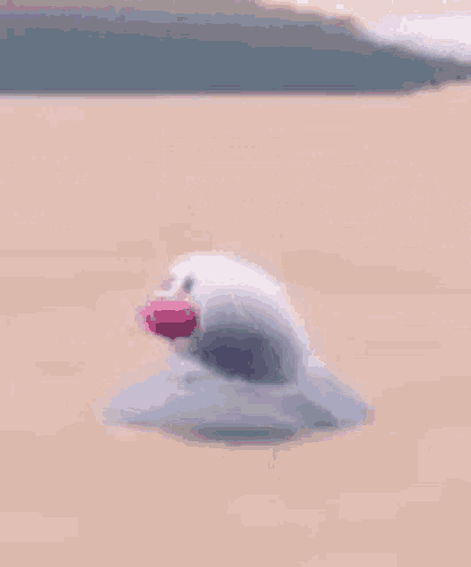 a stuffed animal with a pink beak is standing on a beach .