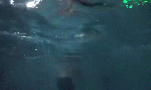 Shooter Tequila GIF - Shooter Tequila Pool GIFs