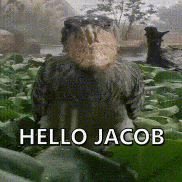 Jacob Hello Jacob GIF - Jacob Hello Jacob Hello GIFs