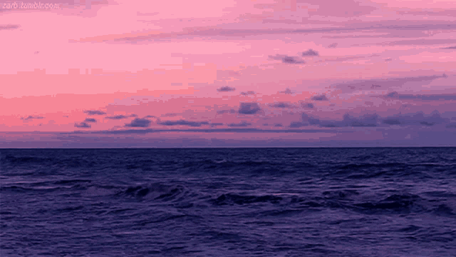 a pink and purple sunset over the ocean with a tumblr.com link