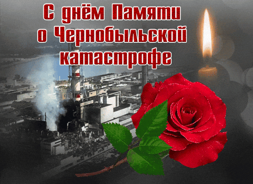 a red rose is in front of a black and white photo of a nuclear power plant