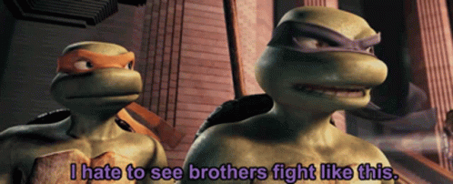 Tmnt Donatello GIF - Tmnt Donatello I Hate To See Brothers Fight Like This GIFs