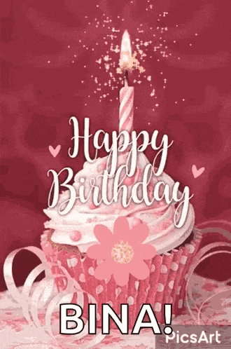 a pink cupcake with a candle on top of it and the words `` happy birthday bina '' written on it .