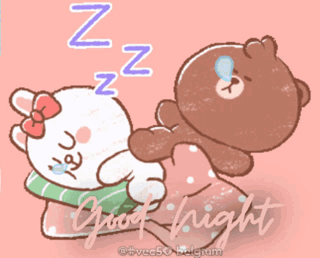 a cartoon of a bear and a rabbit sleeping with the words good night written below them