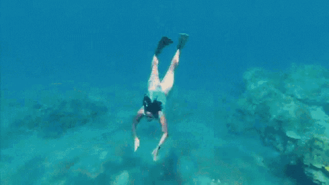 Swimming Lizzy Capri GIF - Swimming Lizzy Capri Underwater GIFs