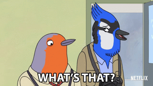 Whats That Paparazzi Blue Jay GIF - Whats That Paparazzi Blue Jay Paparazzi Robin GIFs