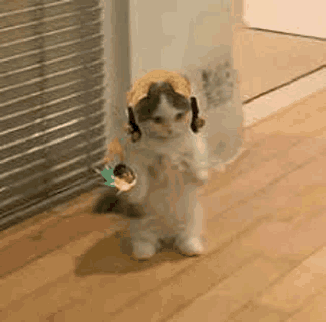 a cat is standing on its hind legs on a wooden floor wearing a hat .