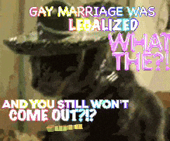 a cat wearing a cowboy hat says gay marriage was legalized and you still won 't come out