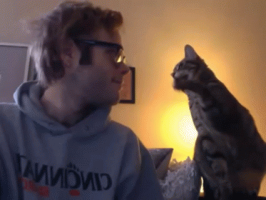 Can I Touch U? GIF - Cats Friends GIFs