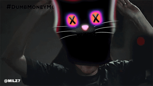 Quantum Cats Dumb Money Gamestop Taproot Wizards Udi Wertheimer GIF