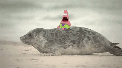Seal!!! GIF - Patrick Star Spongebob GIFs