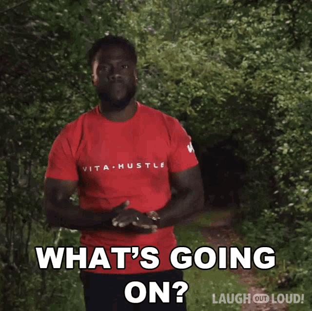 Whats Going On Kevin Hart GIF - Whats Going On Kevin Hart Meditate With Me GIFs