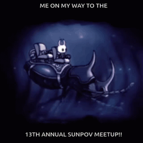 Hollow Knight Sunpov GIF - Hollow Knight Sunpov Sunpov Meetup GIFs