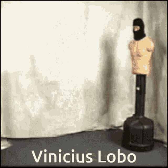 Vinicius Lobo Tsuniii GIF - Vinicius Lobo Tsuniii GIFs