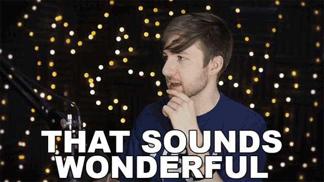a man stands in front of a microphone with the words " that sounds wonderful " above him